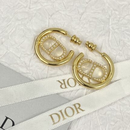 Dior letter earrings, same material, new elegant and elegant earrings, best-selling model (复制)