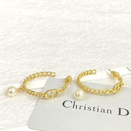 Dior letter earrings, same material, new elegant and elegant earrings, best-selling model (复制)