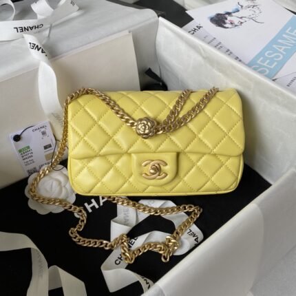 New top quality original leather Chanel bag (复制)