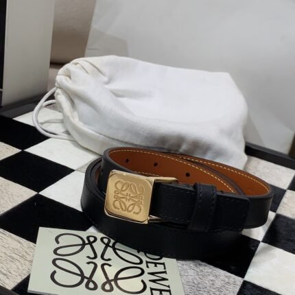 LOEWE slim belt in smooth calfskin with Anagram padlock pin buckle (复制)