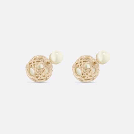 Dior letter earrings, same material, new elegant and elegant earrings, best-selling model (复制)