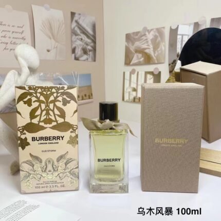 Burberry New Fragrance Ebony Storm 100ml with High Quality Packaging 1:1