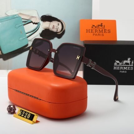 HERMES wine red+deep purple gradient lenses with irregular stripe border sunglasses