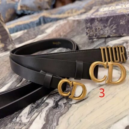 Dior Classic Gold Buckle Black Belt Simple and Elegant, Low key Luxury