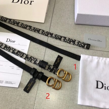 Dior classic gold buckle belt, simple, noble and elegant