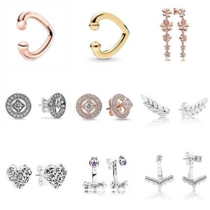 High quality 925 silver earrings with various styles and unique designs