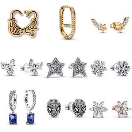 Unique 925 silver pentagram and snowflake earrings with a niche style