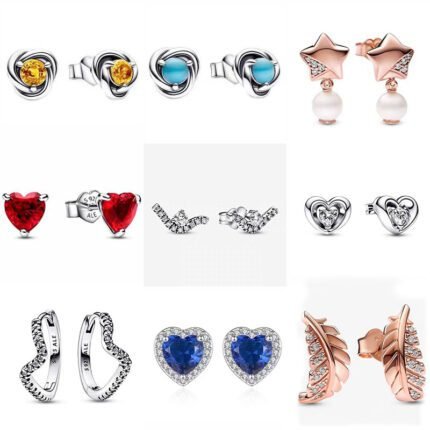 2024 New 925 Silver Personalized Heart Shaped Earrings, Different Styles to Choose from