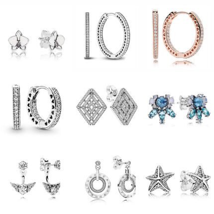 Small Fresh Style 925 Silver Exquisite Zircon Earrings, Available in Multiple Styles