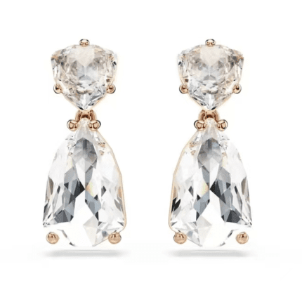 High-end versatile new earrings for men and women