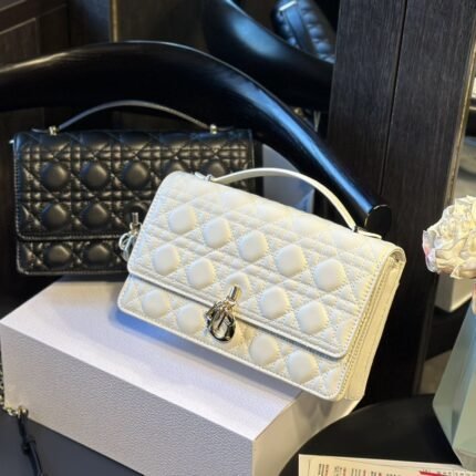 The organ bag is a new product of this season. Top matched with handle, elegant and practical