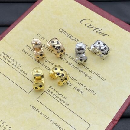 2025 new fashion earrings niche men's and women's jewelry