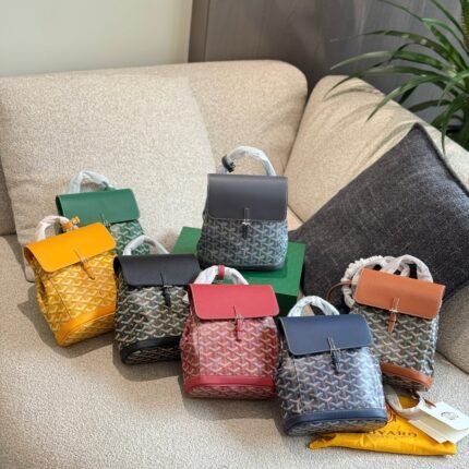 Goyard Mini Backpack: Signature Chevron Print with Retro-Inspired Design (23×9.5×19cm)