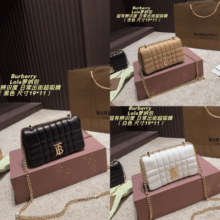 Quilted Chain Shoulder Bag, Luxury   Crossbody Handbag, 3 Colors Commuter Small Flap Bag